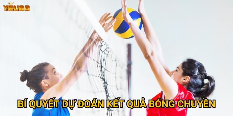 Bí quyết dự đoán kết quả bóng chuyền