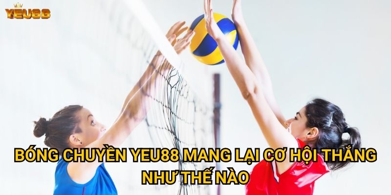 Bóng chuyền Yeu88 mang lại cơ hội thắng như thế nào?