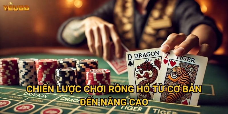 Chiến lược chơi rồng hổ từ cơ bản đến nâng cao